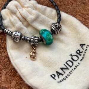 Rare Retired Pandora Charms and Leather Bracelet